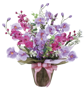 �y�ʓr�����z²ݺ�����